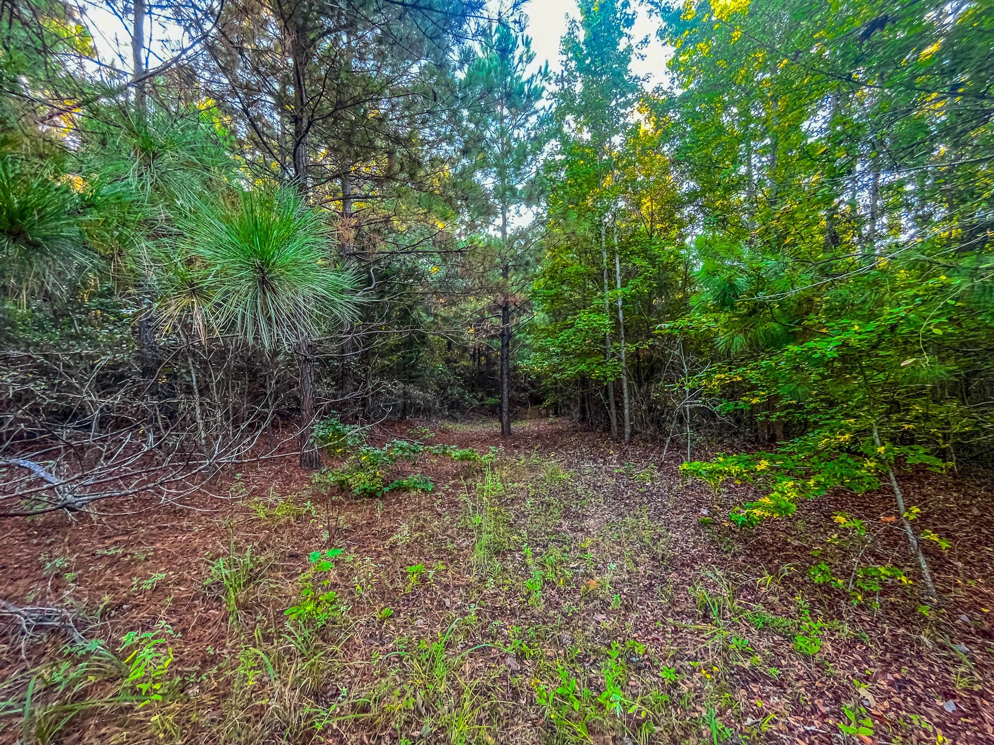 00 W Us Highway 175 Jacksonville TX 75766