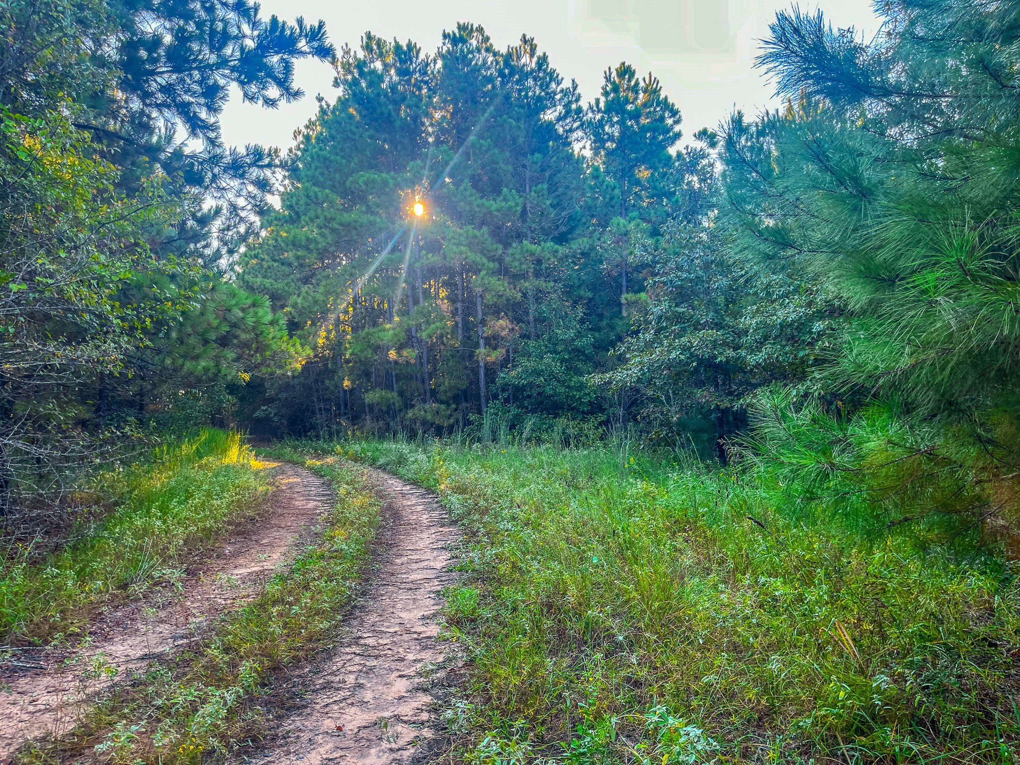 00 W Us Highway 175 Jacksonville TX 75766