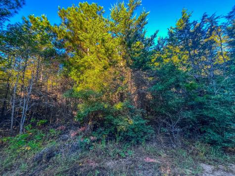 00 W Us Highway 175 Jacksonville TX 75766