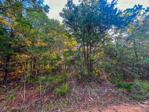 00 W Us Highway 175 Jacksonville TX 75766