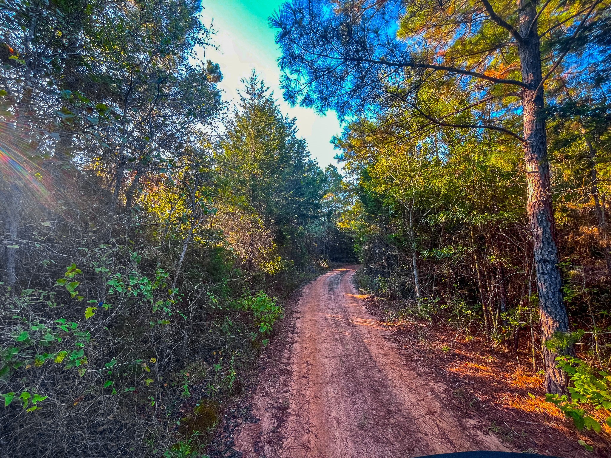 00 W Us Highway 175 Jacksonville TX 75766