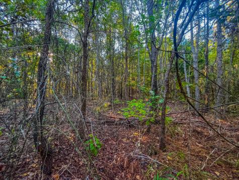 00 W Us Highway 175 Jacksonville TX 75766