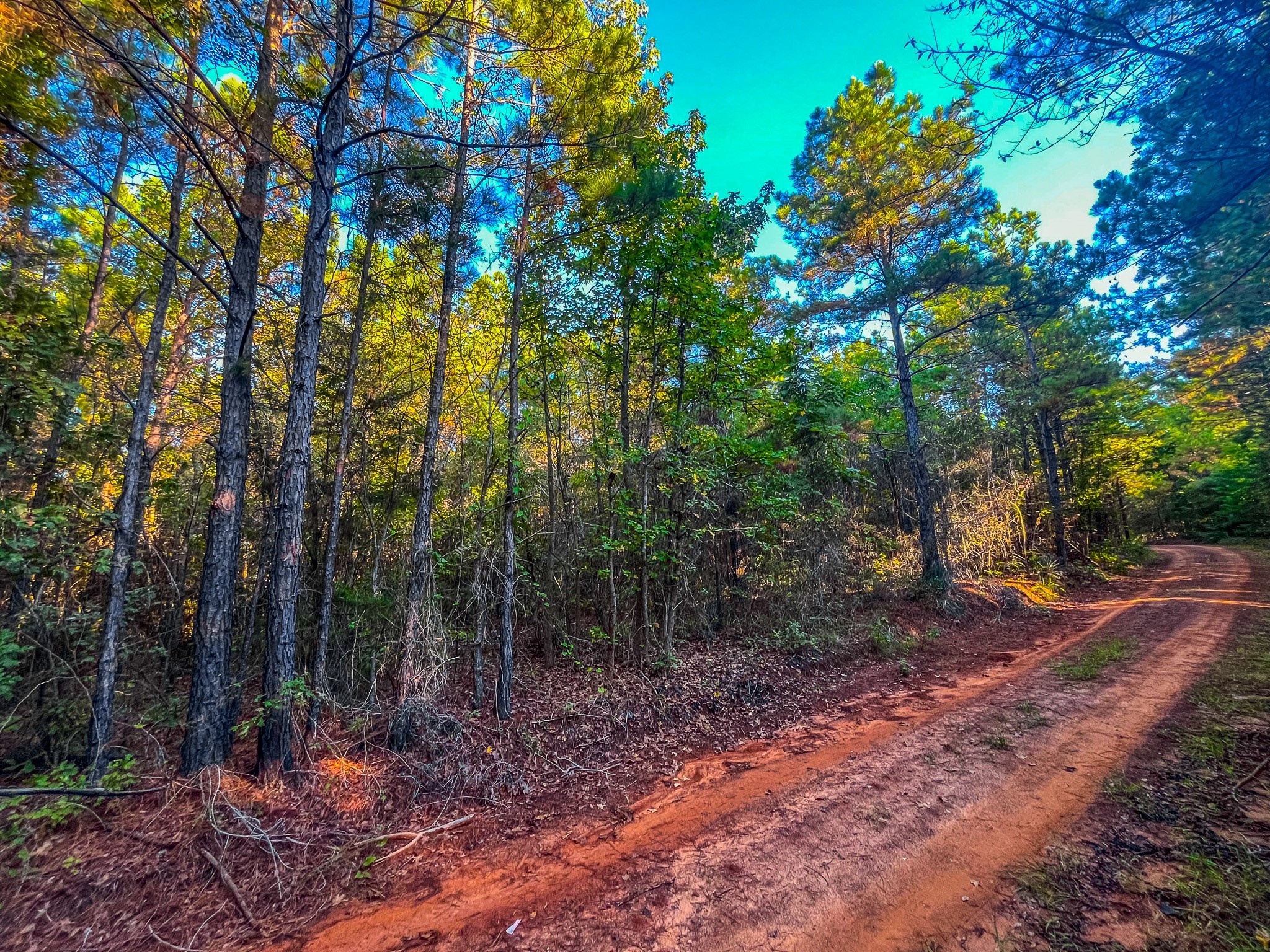 00 W Us Highway 175 Jacksonville TX 75766