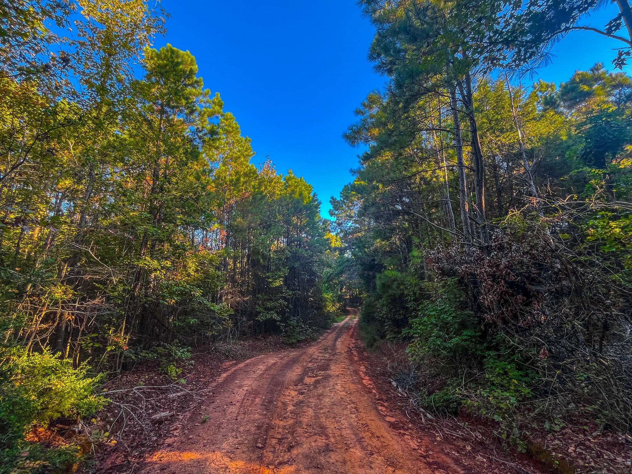 00 W Us Highway 175 Jacksonville TX 75766