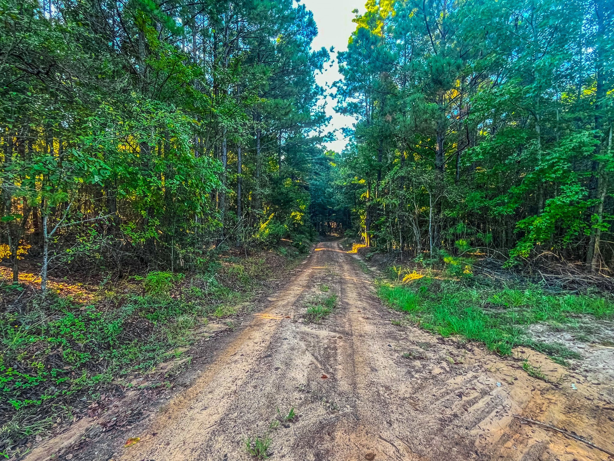 00 W Us Highway 175 Jacksonville TX 75766