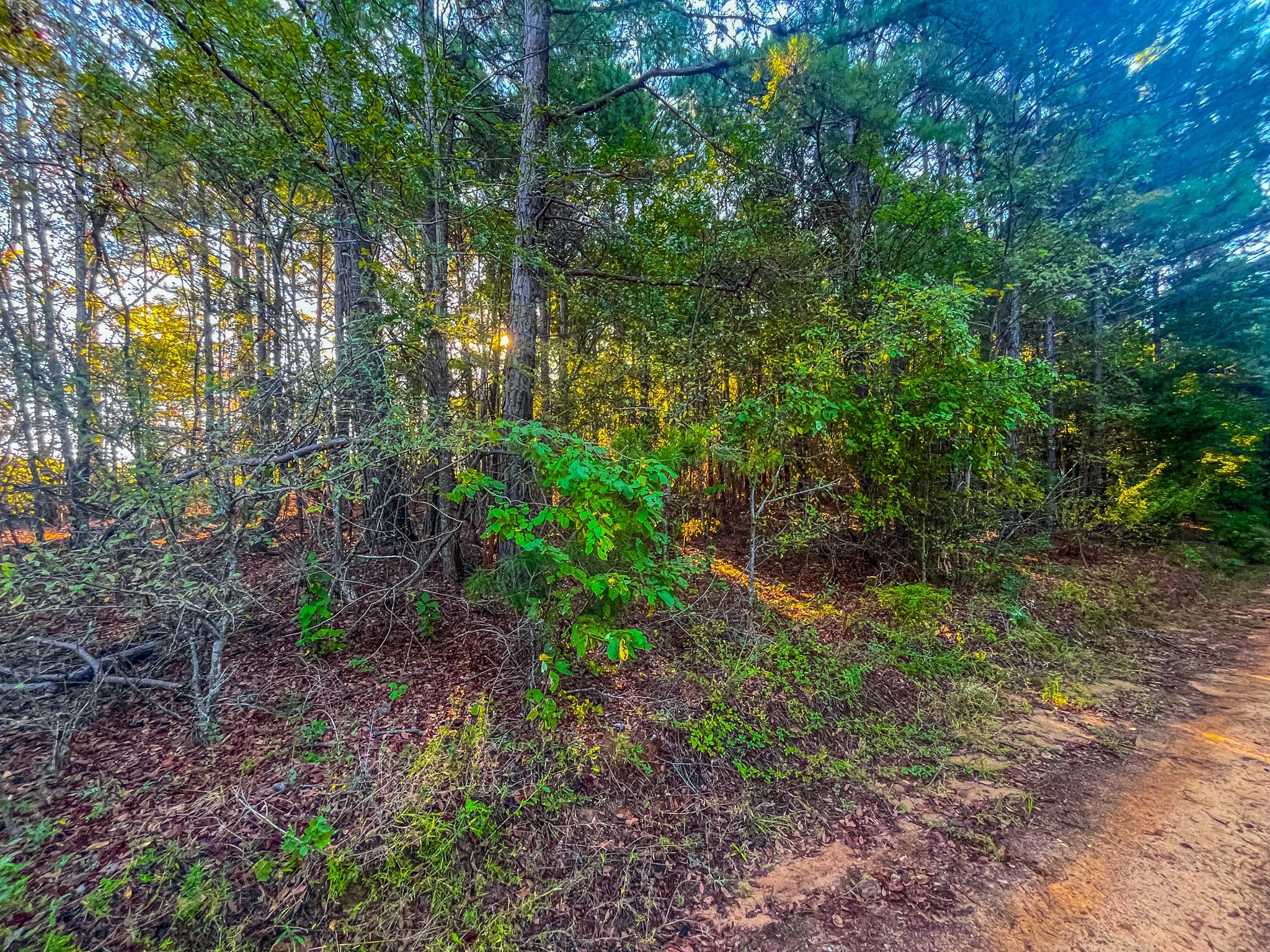 00 W Us Highway 175 Jacksonville TX 75766
