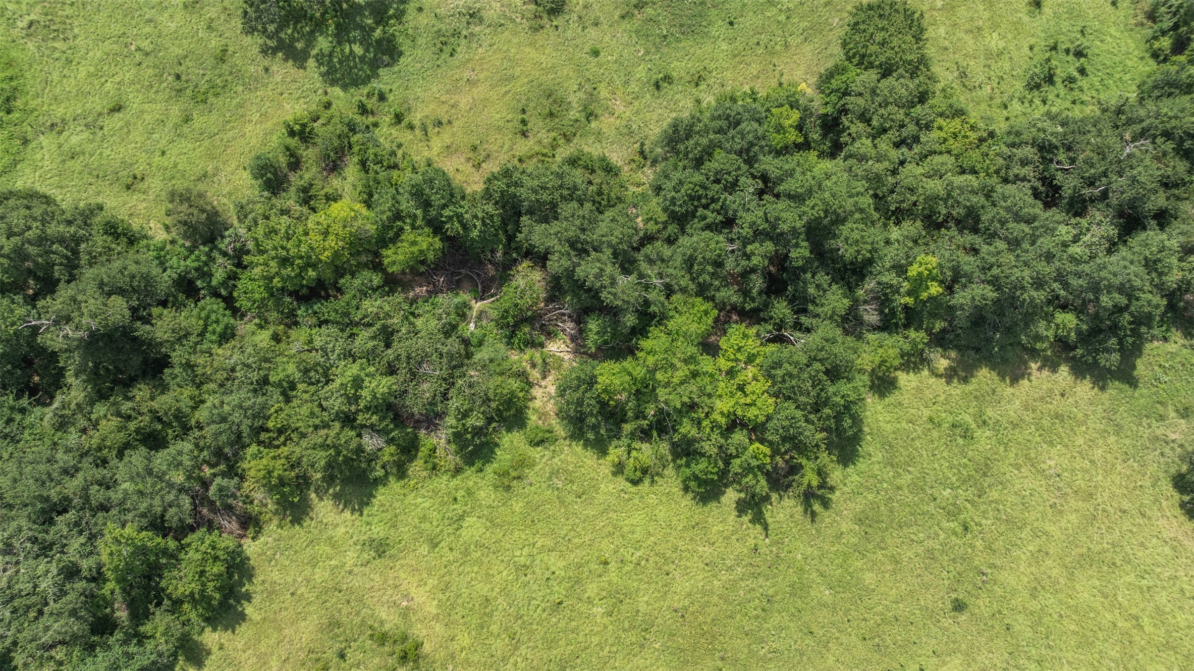 Tbd County Road 721 Kosse TX 76653