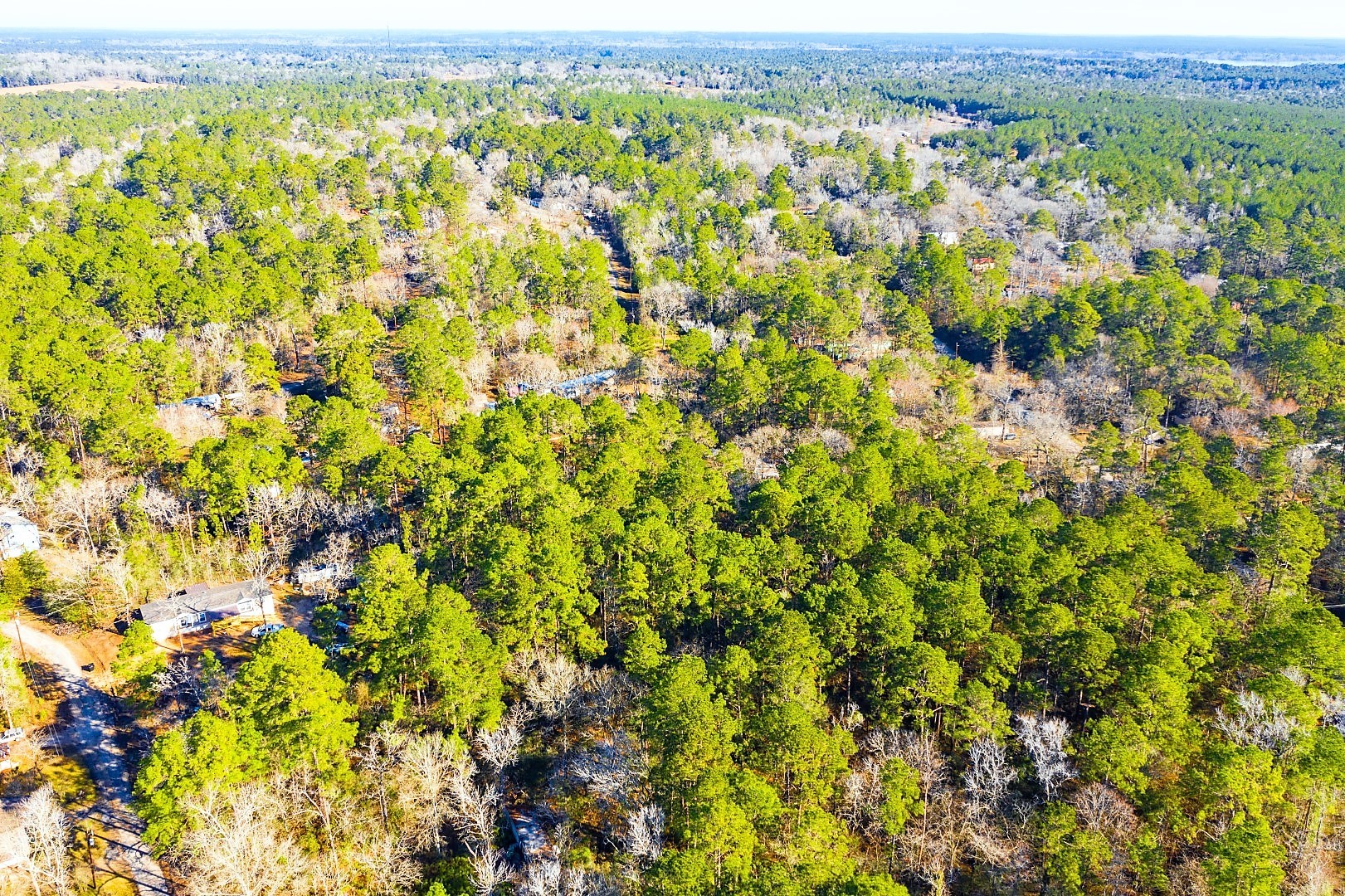 Lot 30 Cedar Court Trinity TX 75862