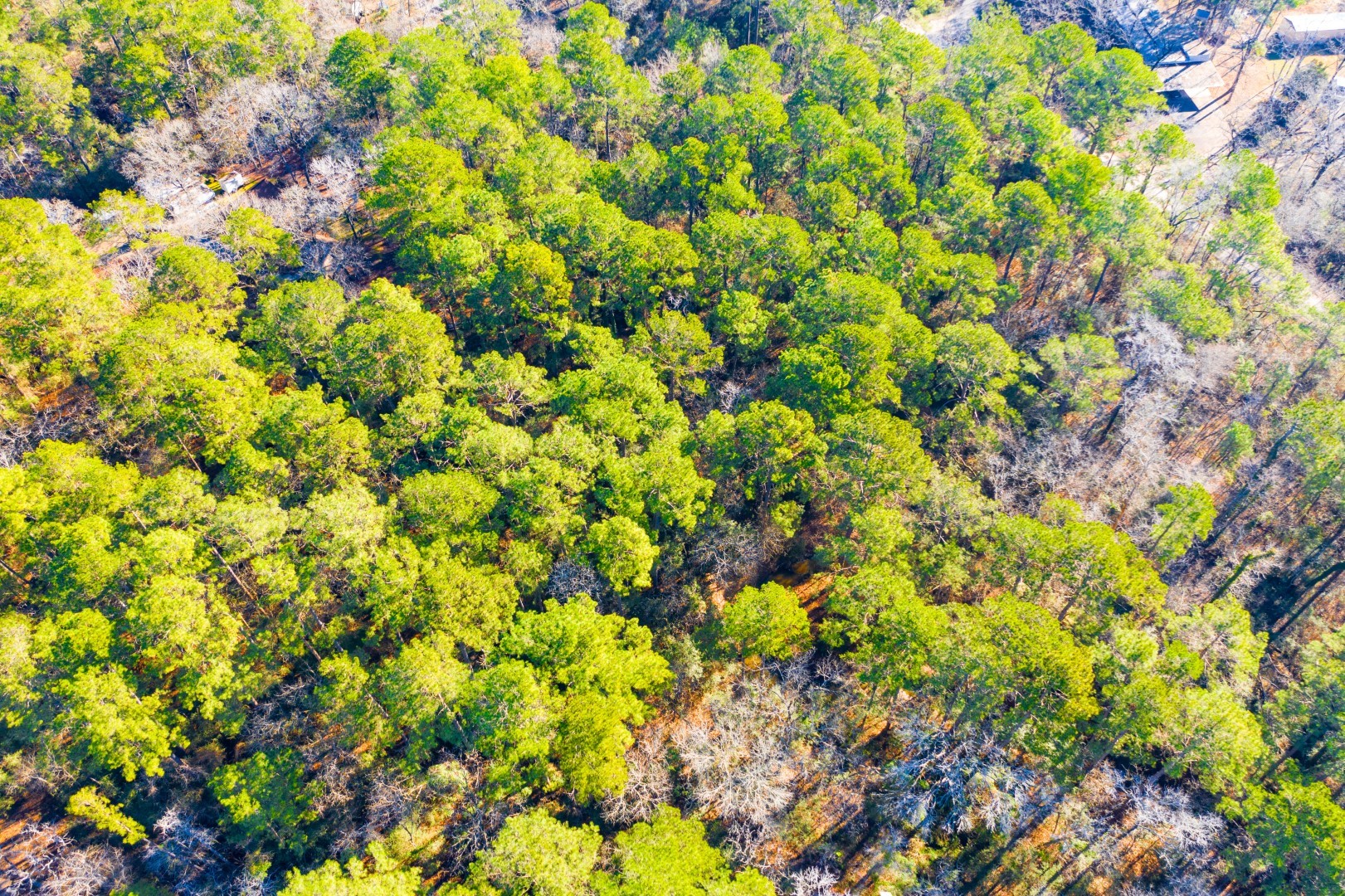 Lot 30 Cedar Court Trinity TX 75862