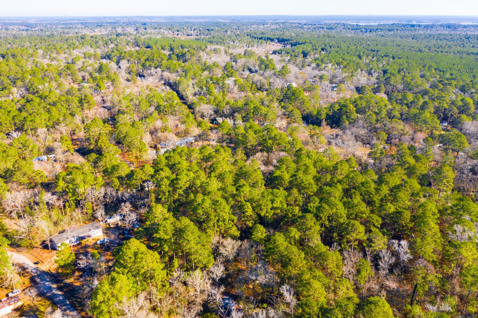 Lot 30 Cedar Court Trinity TX 75862