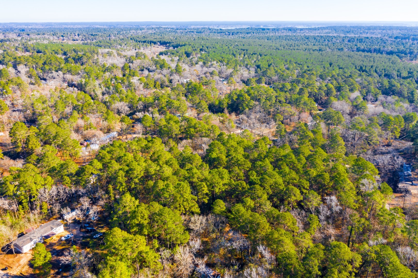 Lot 30 Cedar Court Trinity TX 75862