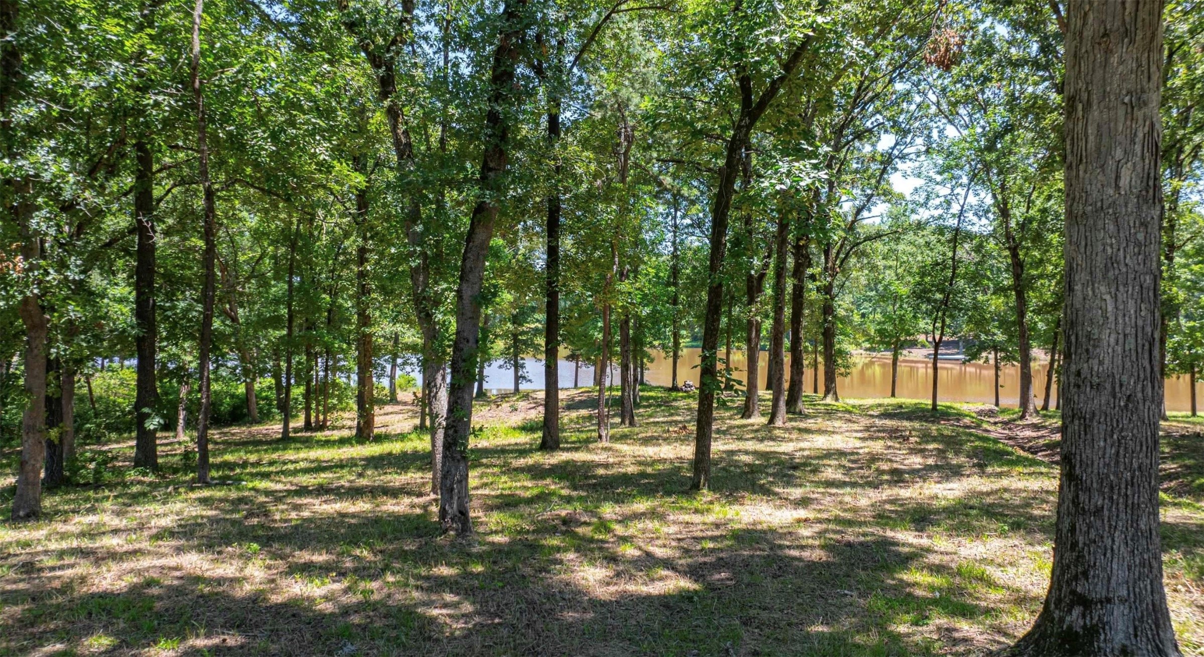 Tbd Pr 52415 Leesburg TX 75451