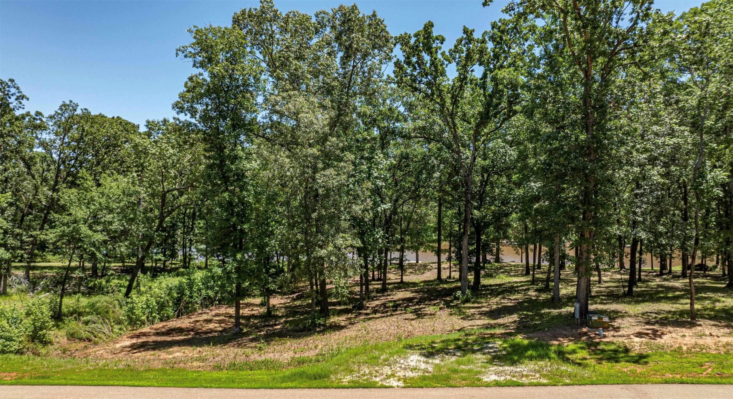Tbd Pr 52415 Leesburg TX 75451