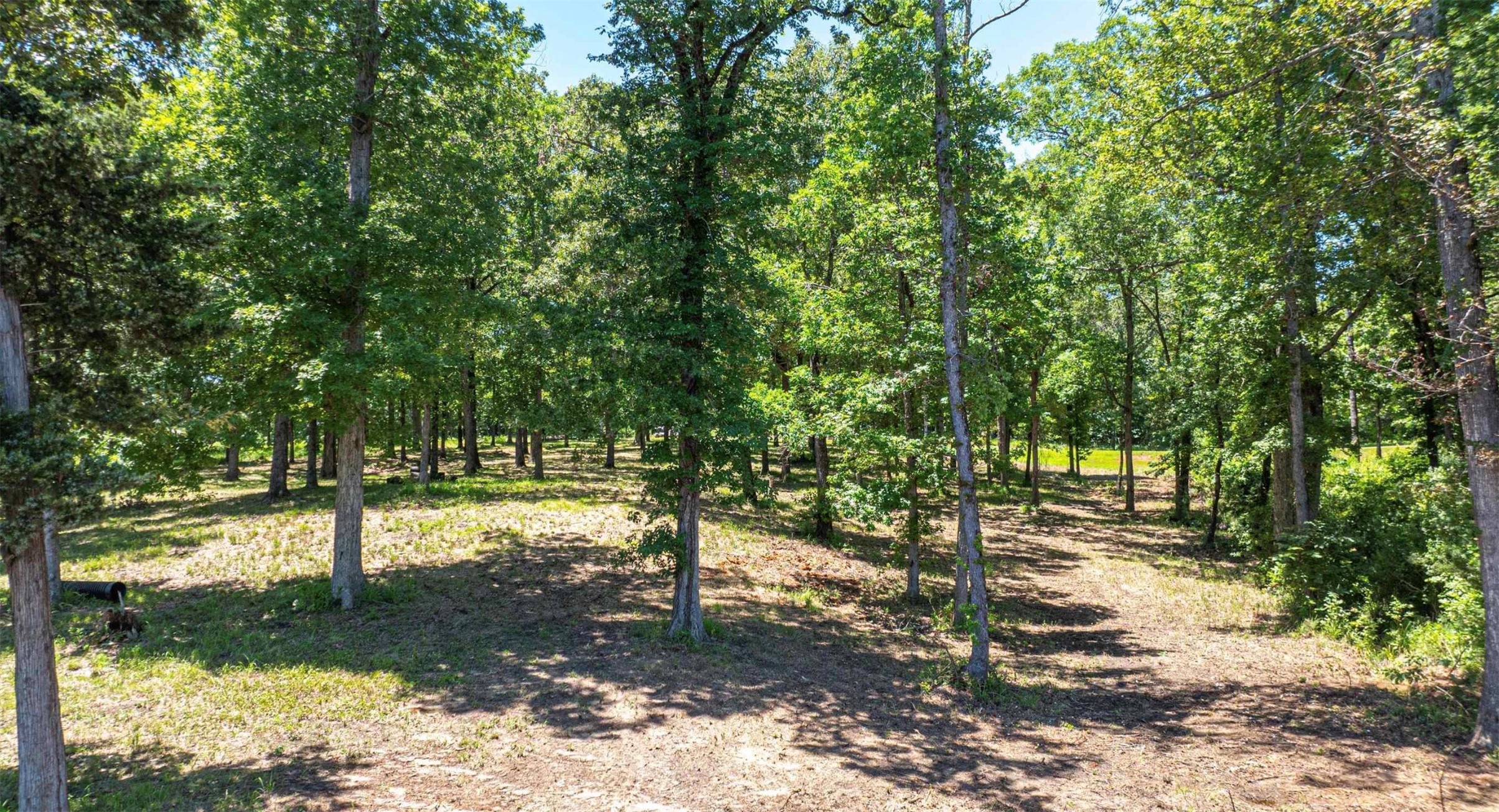 Tbd Pr 52415 Leesburg TX 75451