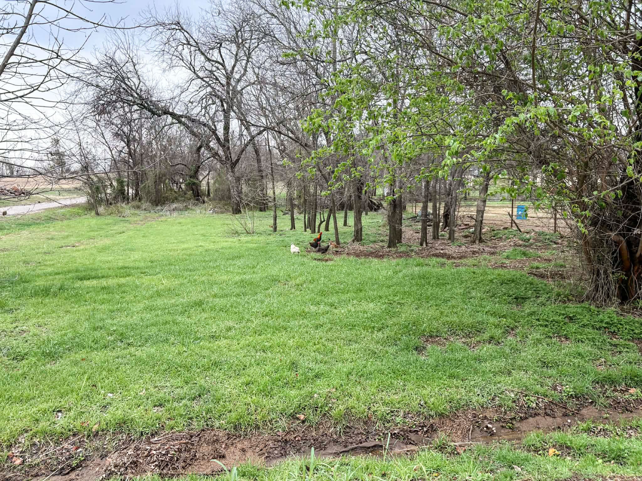 301 W 2nd Street Cisco TX 76437