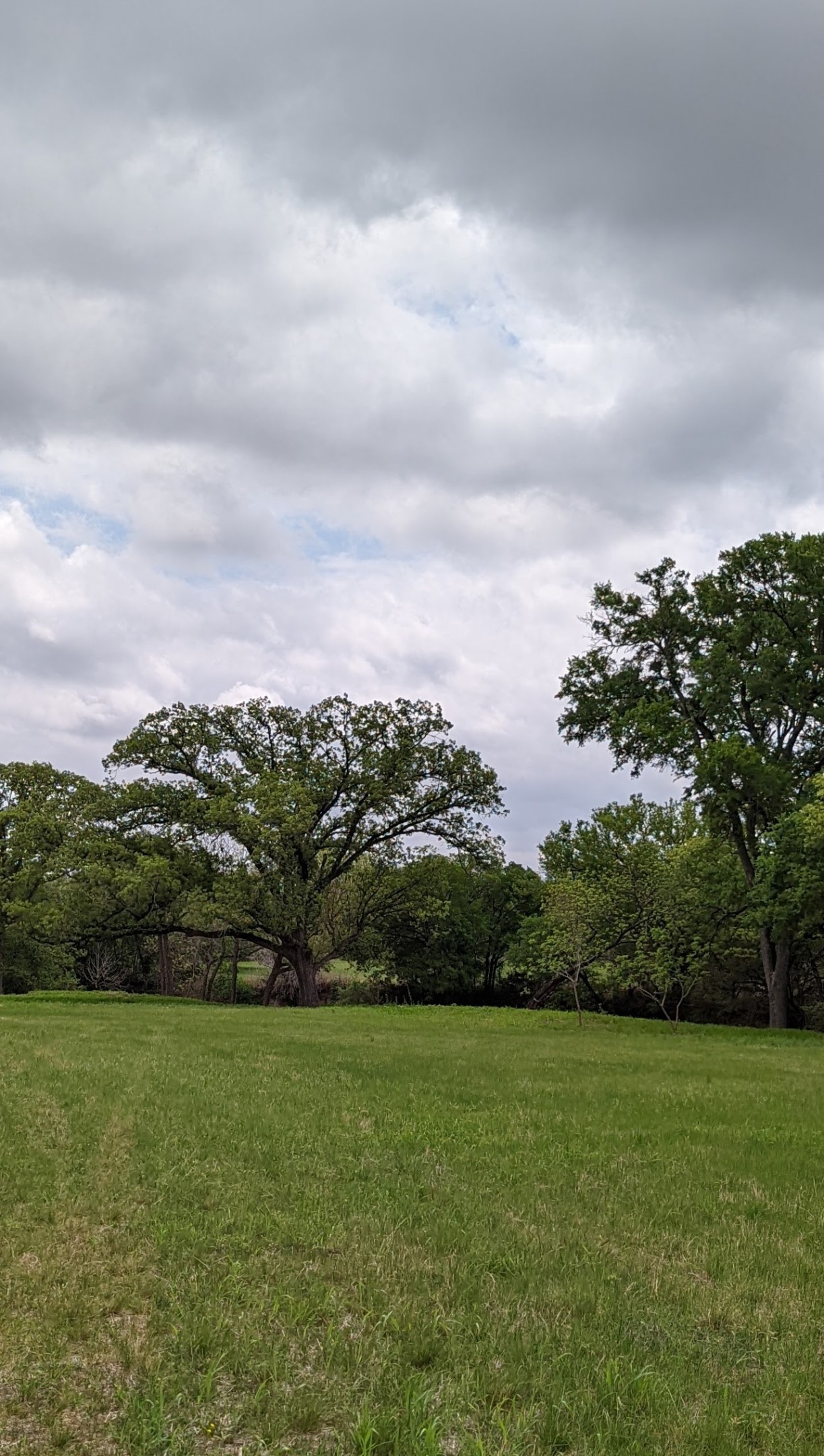 4616 Fm 929 Gatesville TX 76528