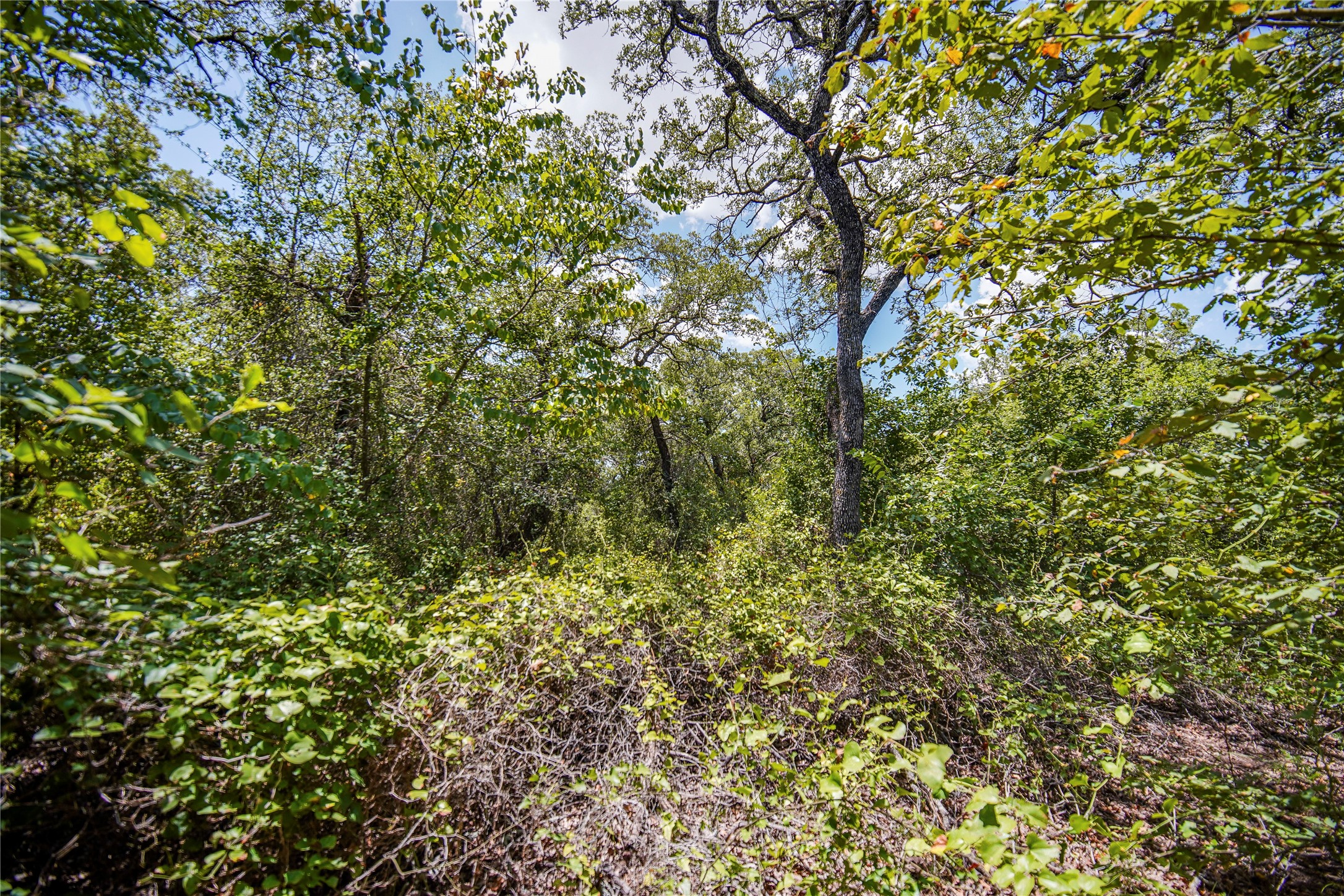 8818 S 281 Highway Perrin TX 76486