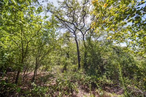 8818 S 281 Highway Perrin TX 76486