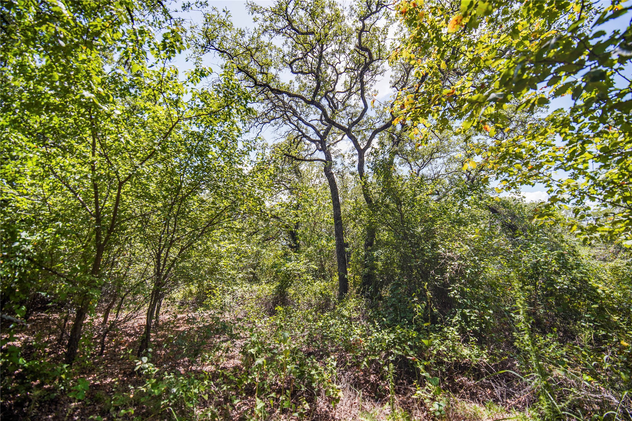 8818 S 281 Highway Perrin TX 76486