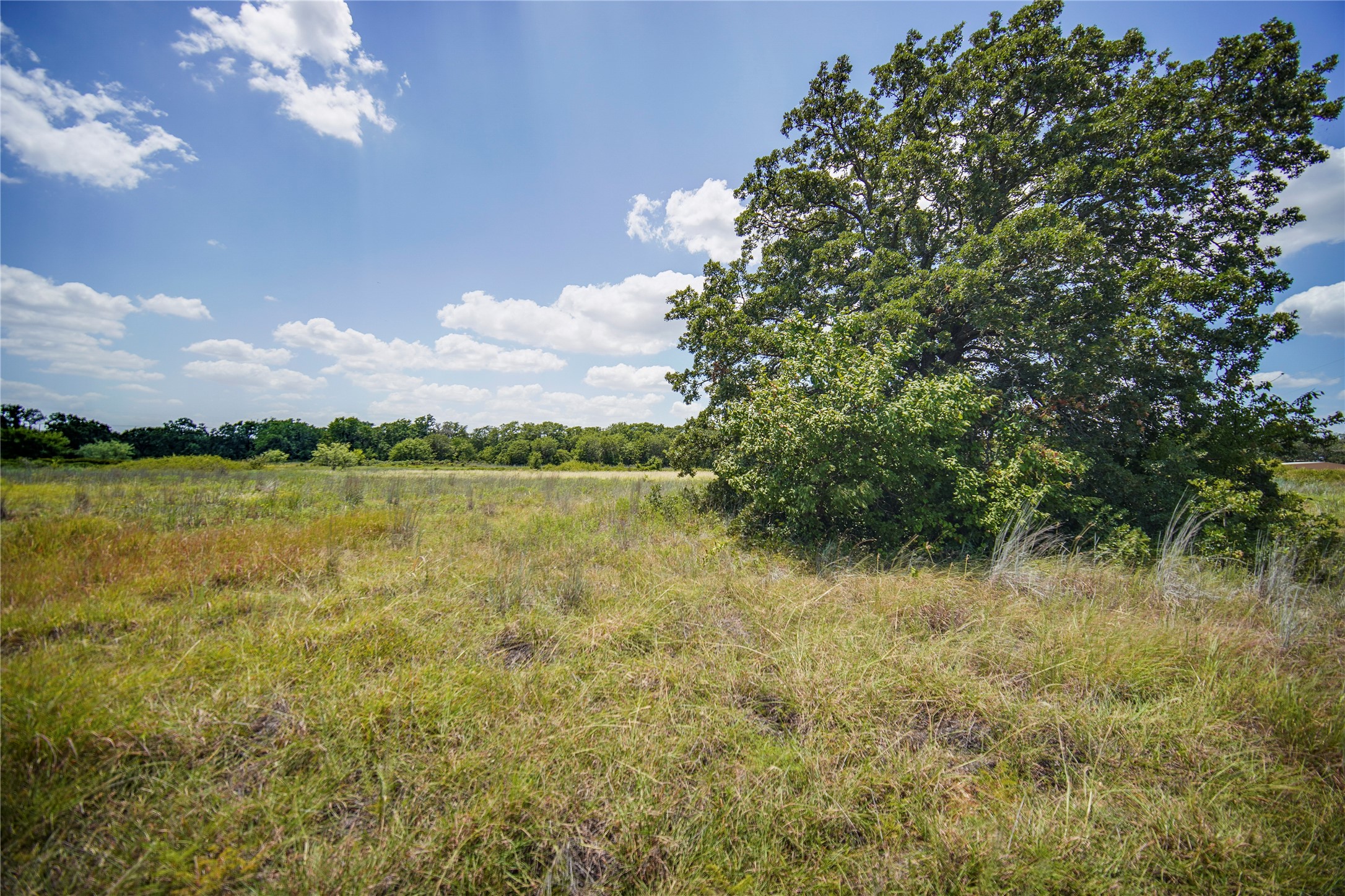 8818 S 281 Highway Perrin TX 76486