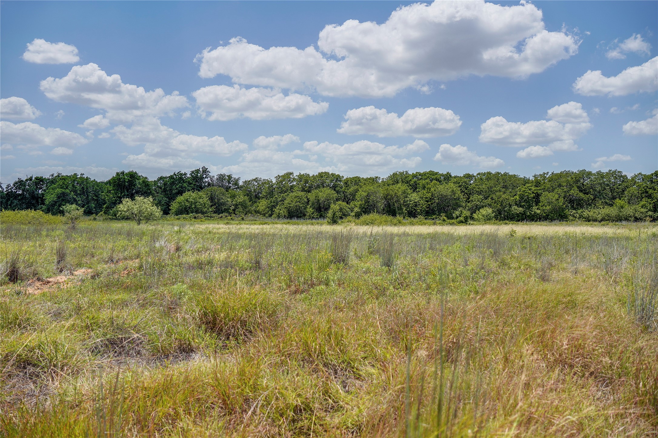 8818 S 281 Highway Perrin TX 76486