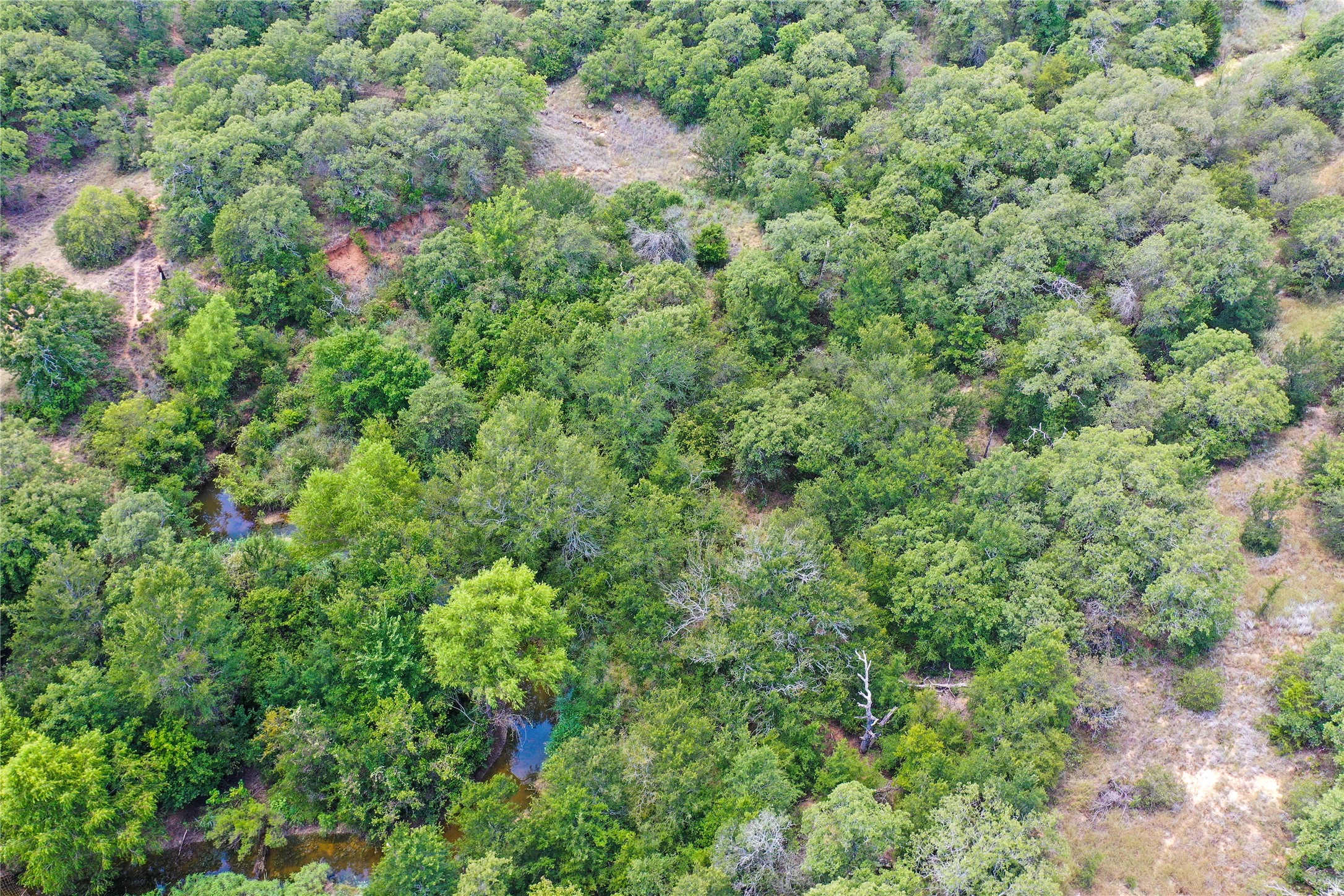 8818 S 281 Highway Perrin TX 76486