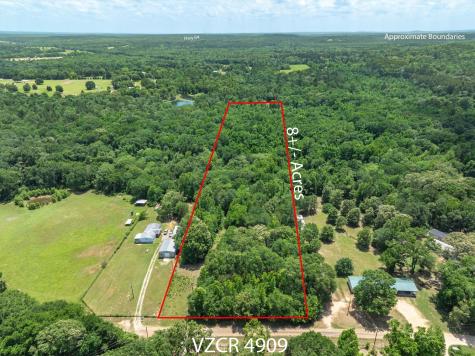 TBD Vz County Road 4909 Ben Wheeler TX 75754