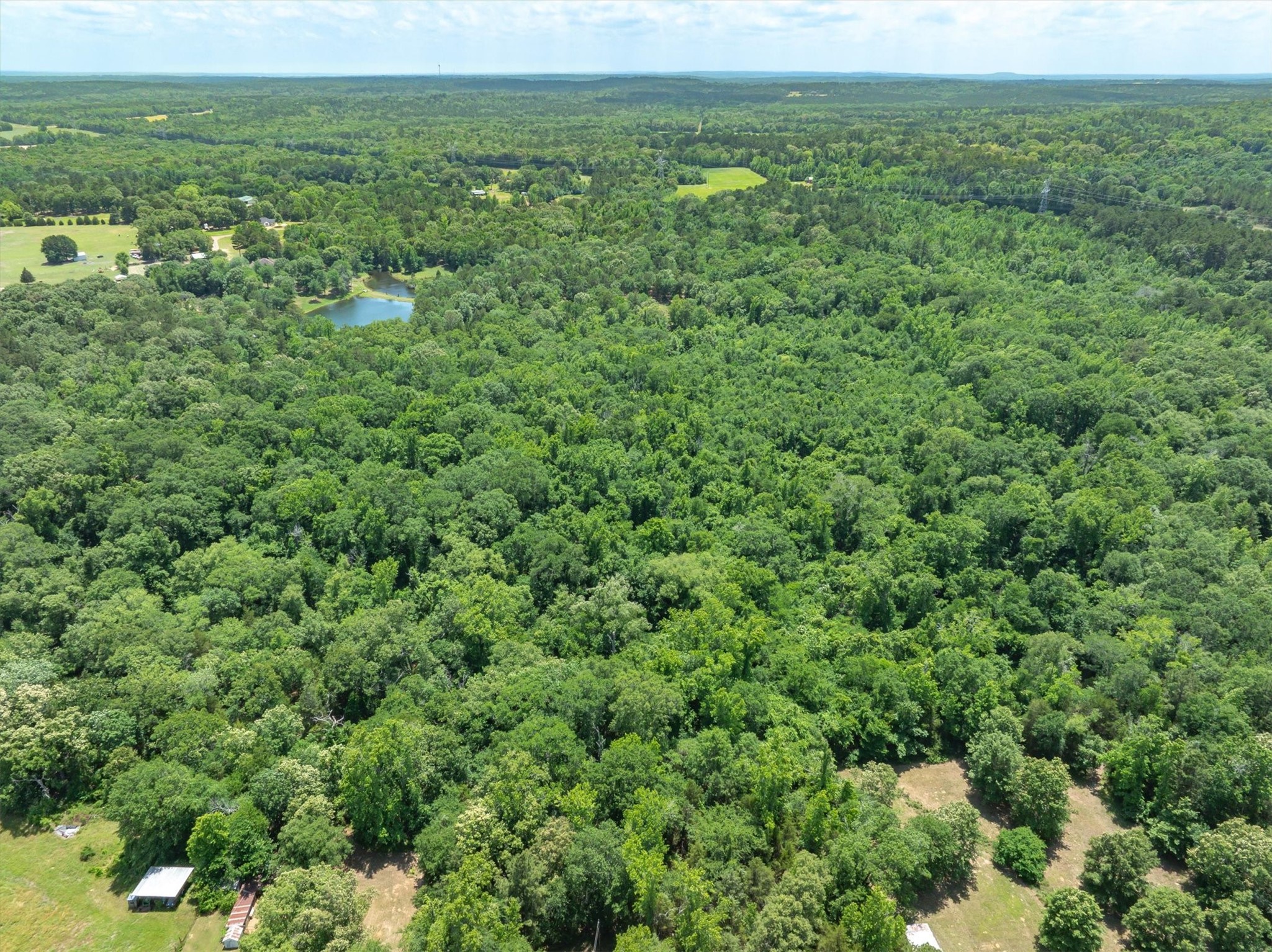 Tbd Vz County Road 4909 Ben Wheeler TX 75754