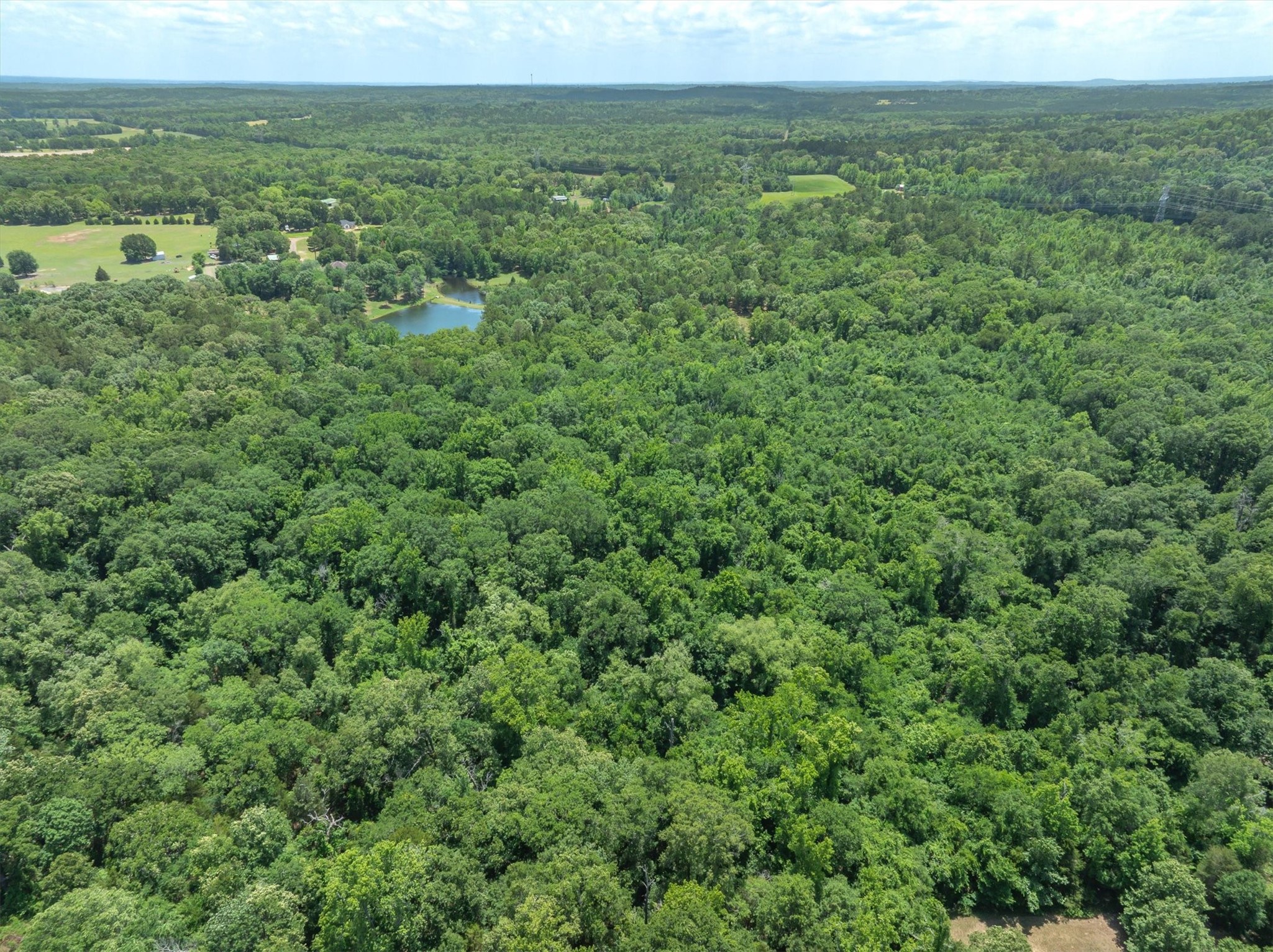 Tbd Vz County Road 4909 Ben Wheeler TX 75754