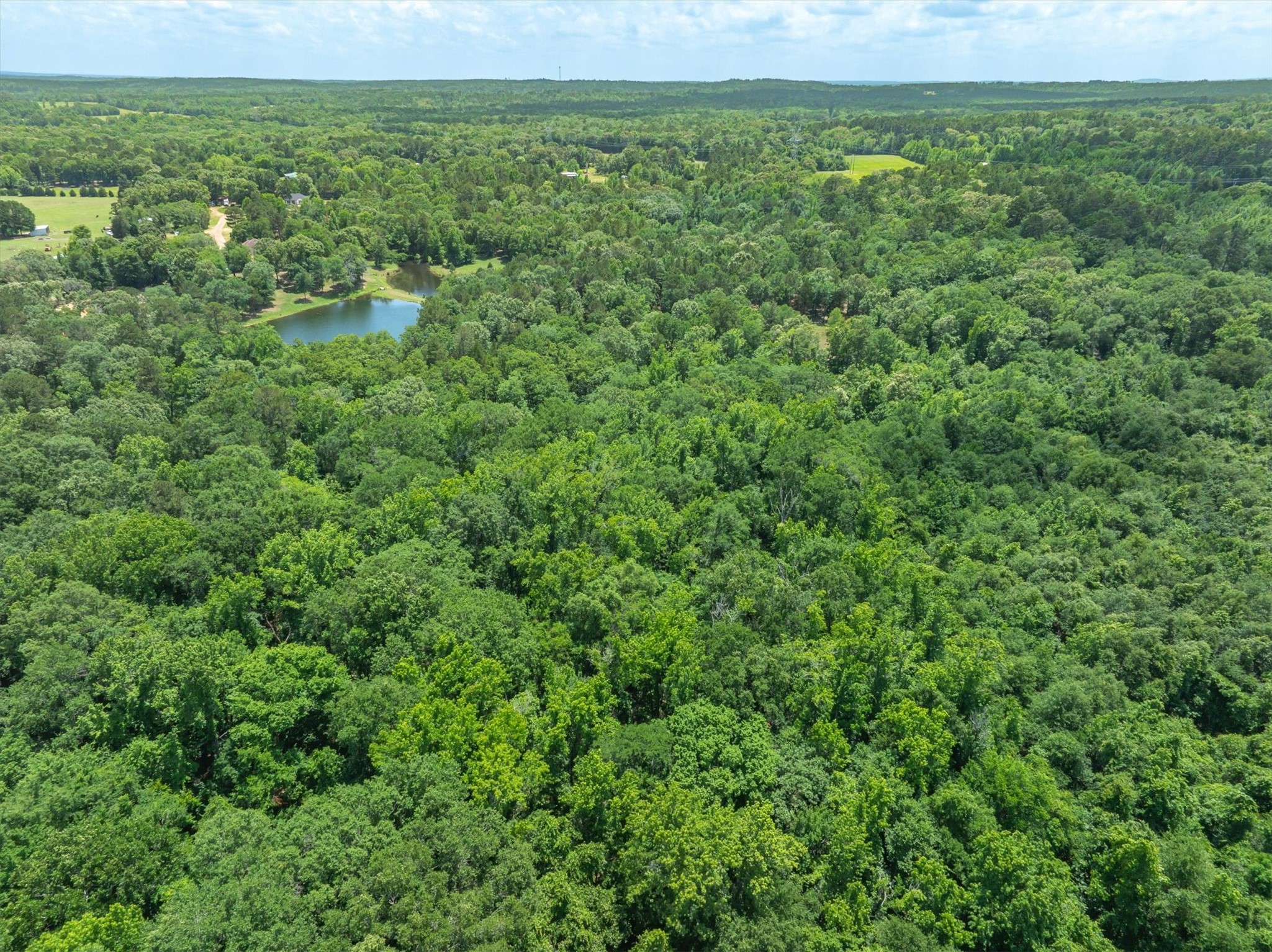 Tbd Vz County Road 4909 Ben Wheeler TX 75754