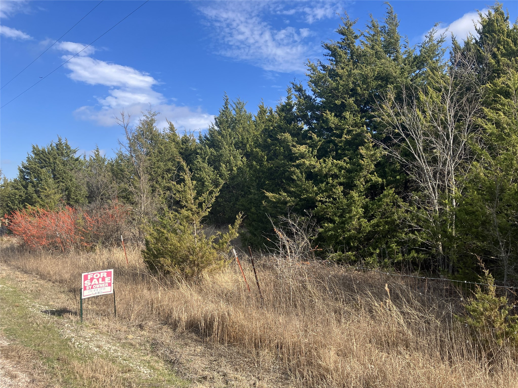 Tbd County Road 670 Blue Ridge TX 75424