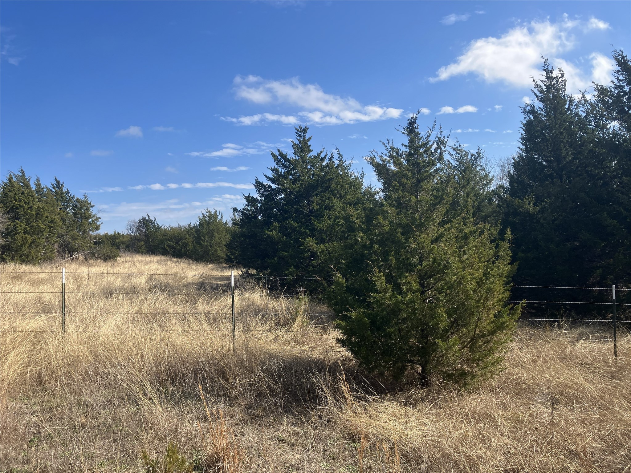 Tbd County Road 670 Blue Ridge TX 75424