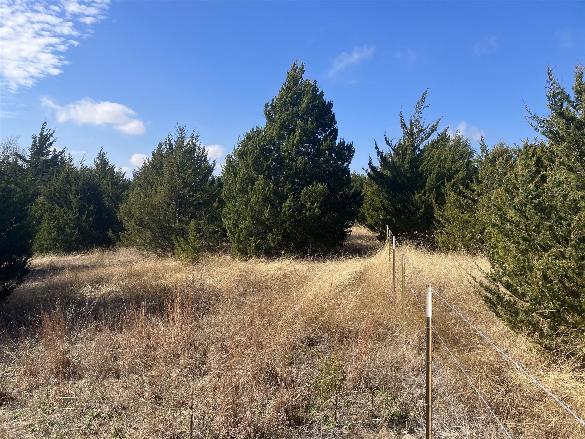 Tbd County Road 670 Blue Ridge TX 75424