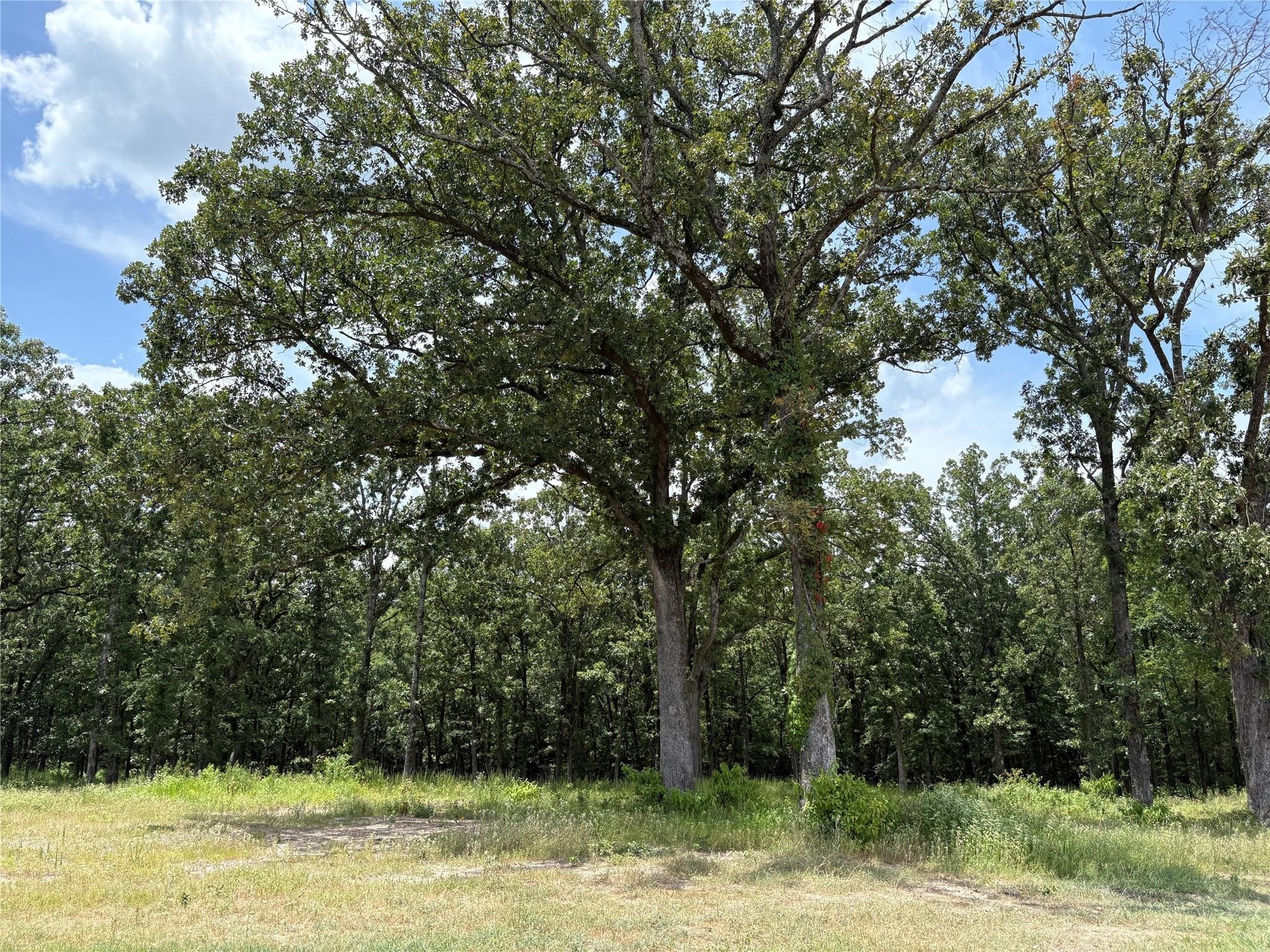 Tbd Pvt 5948 Yantis TX 75497