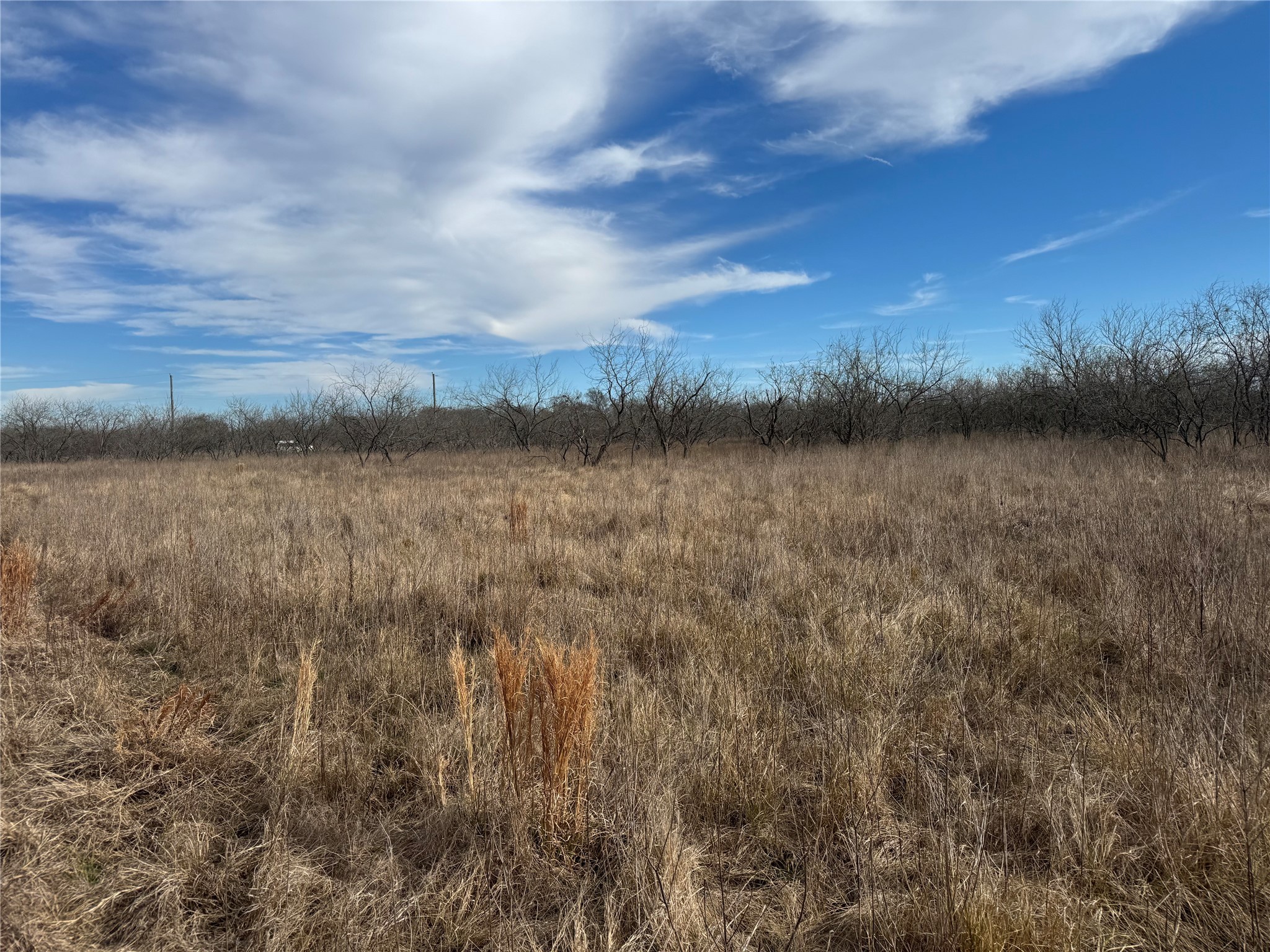 2.29ACRES Boren Private Road Wortham TX 76693