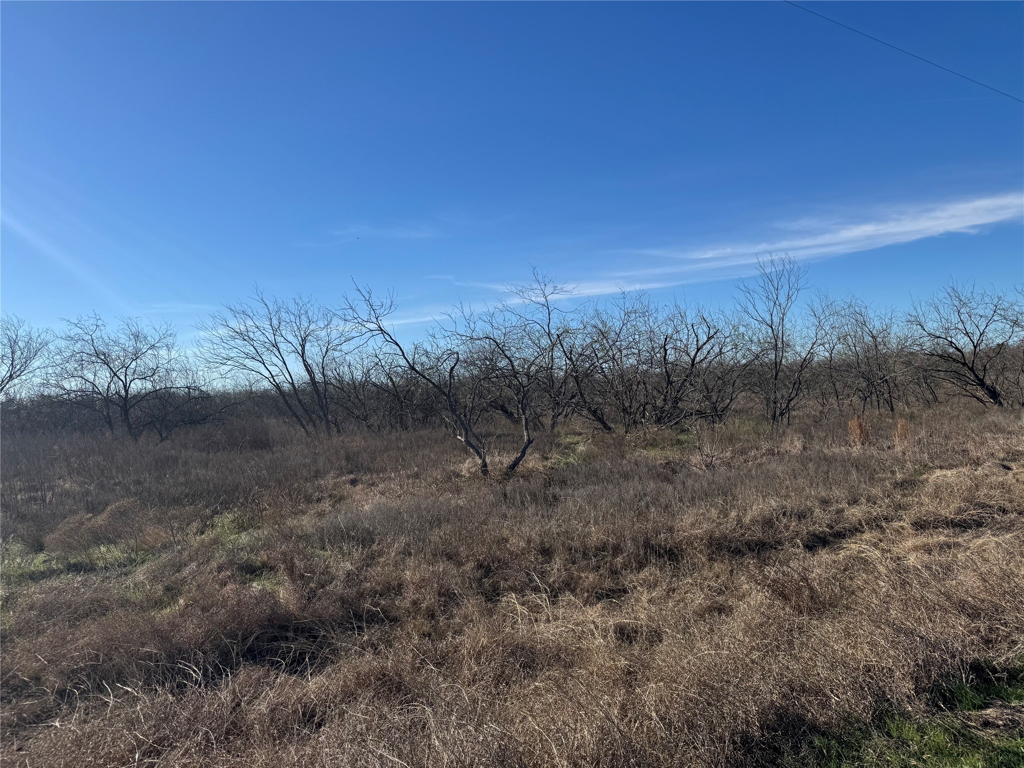 2.29ACRES Boren Private Road Wortham TX 76693