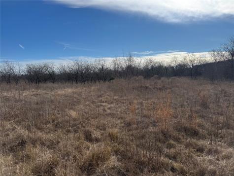 2.29ACRES Boren Private Road Wortham TX 76693
