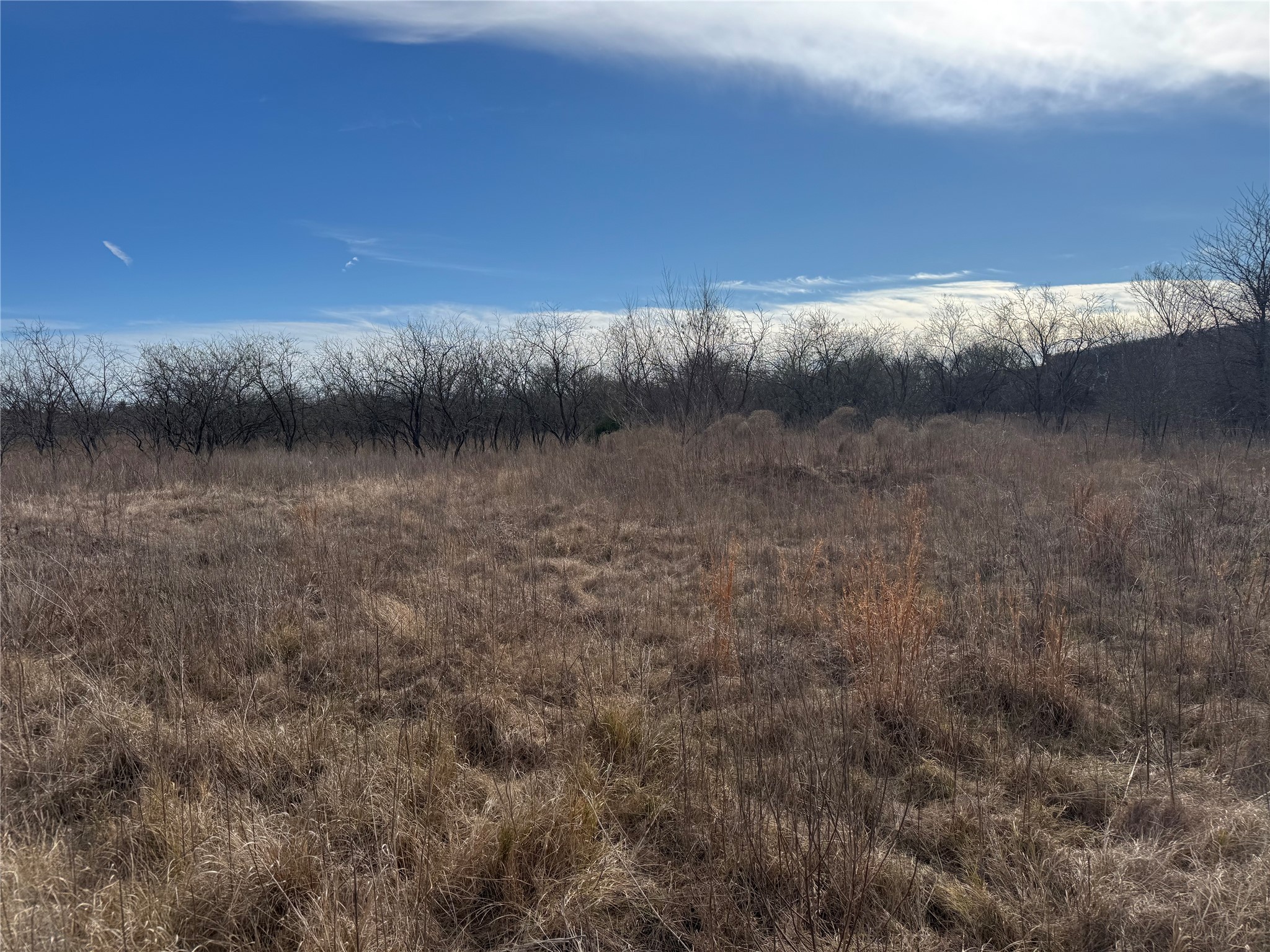 2.29ACRES Boren Private Road Wortham TX 76693