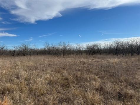 2.29ACRES Boren Private Road Wortham TX 76693