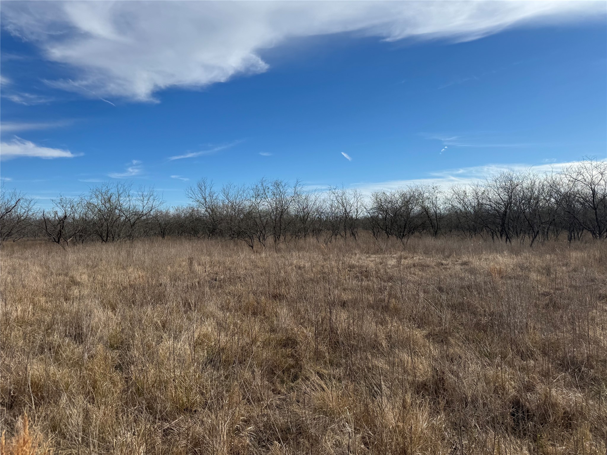 2.29ACRES Boren Private Road Wortham TX 76693