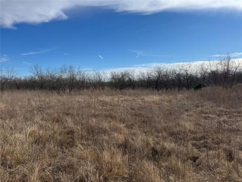 2.29ACRES Boren Private Road Wortham TX 76693