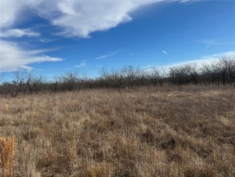 2.29ACRES Boren Private Road Wortham TX 76693