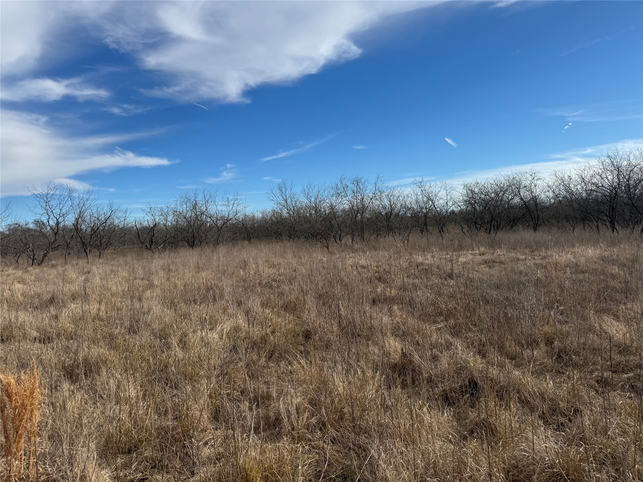 2.29ACRES Boren Private Road Wortham TX 76693