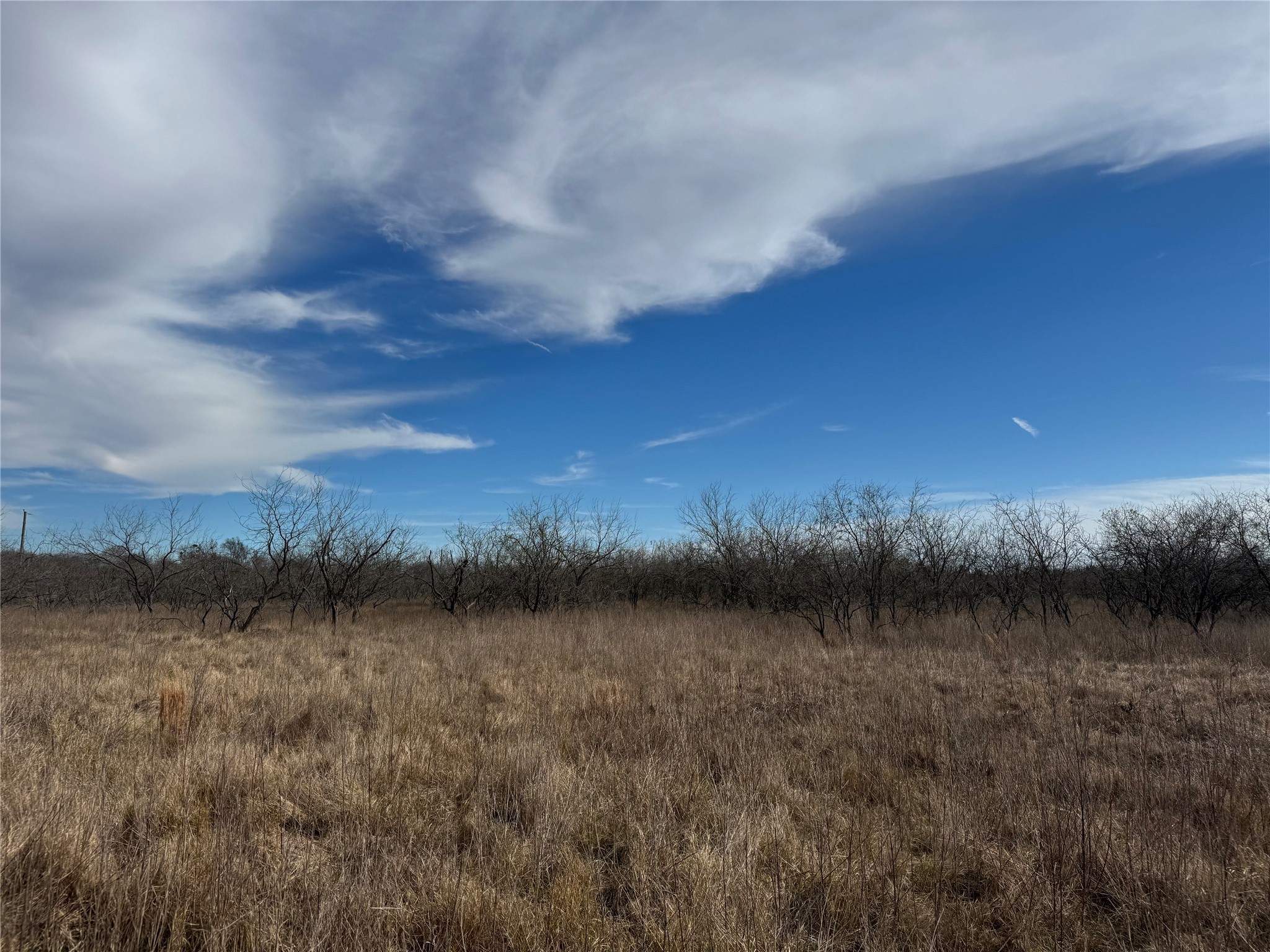 2.29ACRES Boren Private Road Wortham TX 76693