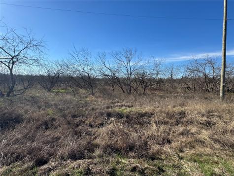 2.29ACRES Boren Private Road Wortham TX 76693
