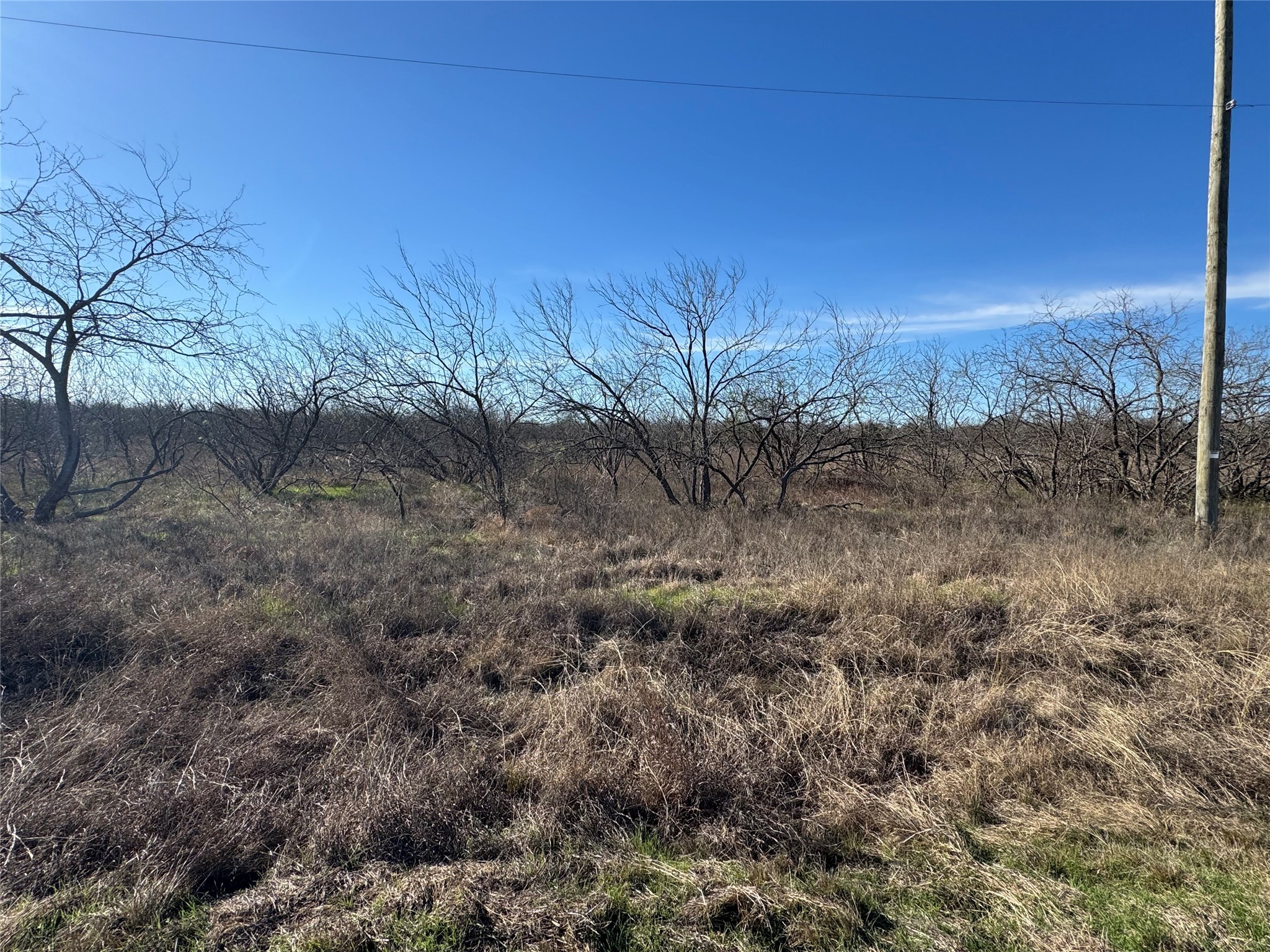2.29ACRES Boren Private Road Wortham TX 76693