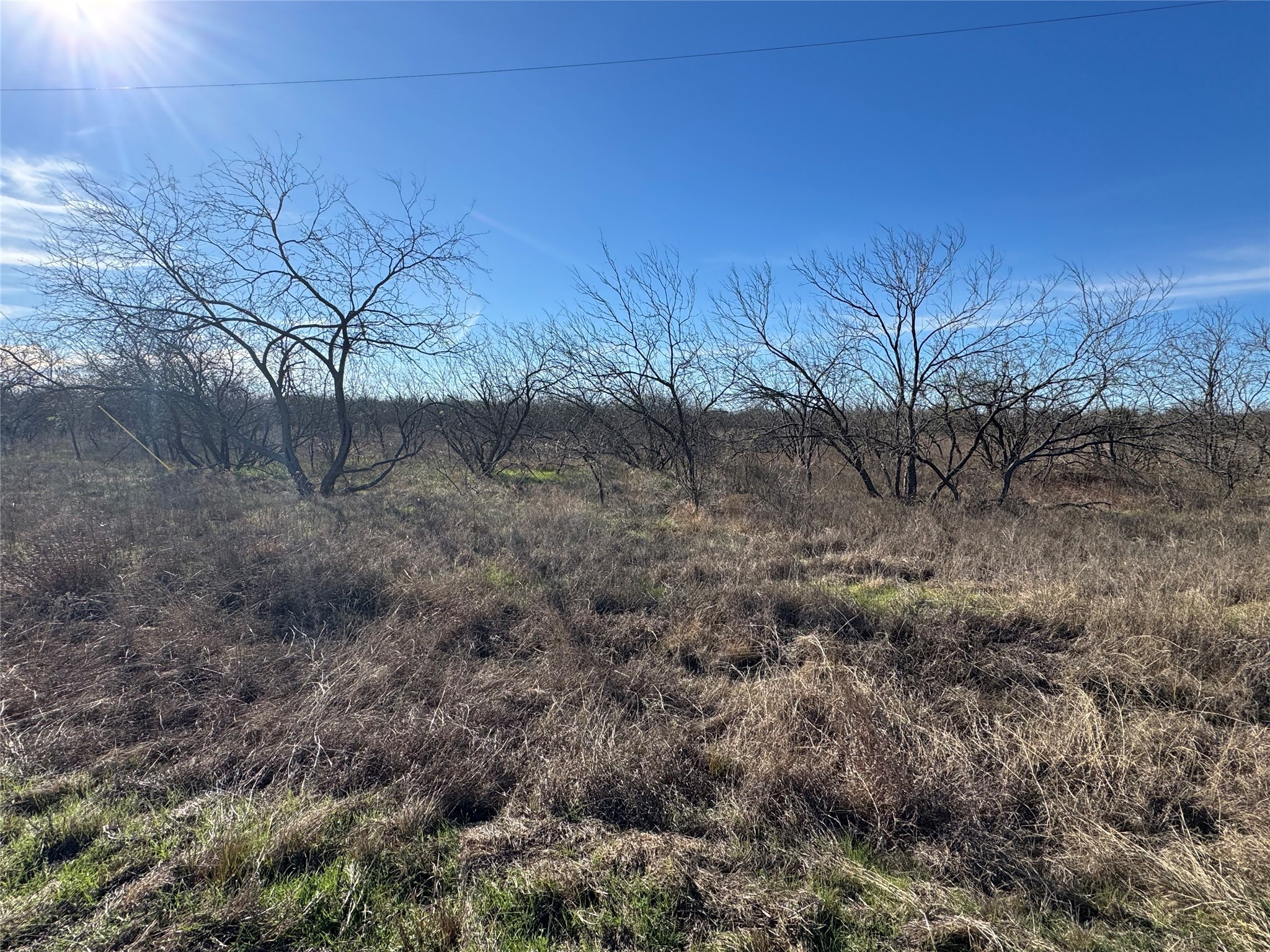 2.29ACRES Boren Private Road Wortham TX 76693