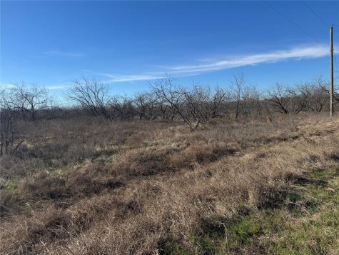 2.29ACRES Boren Private Road Wortham TX 76693