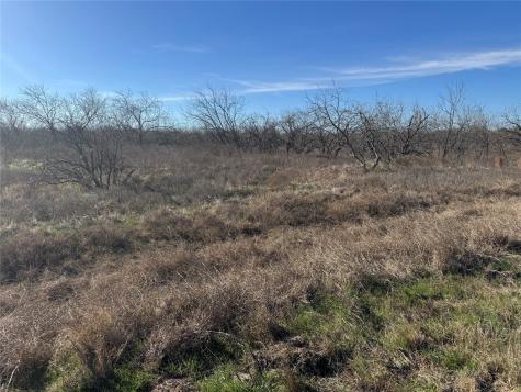 2.29ACRES Boren Private Road Wortham TX 76693