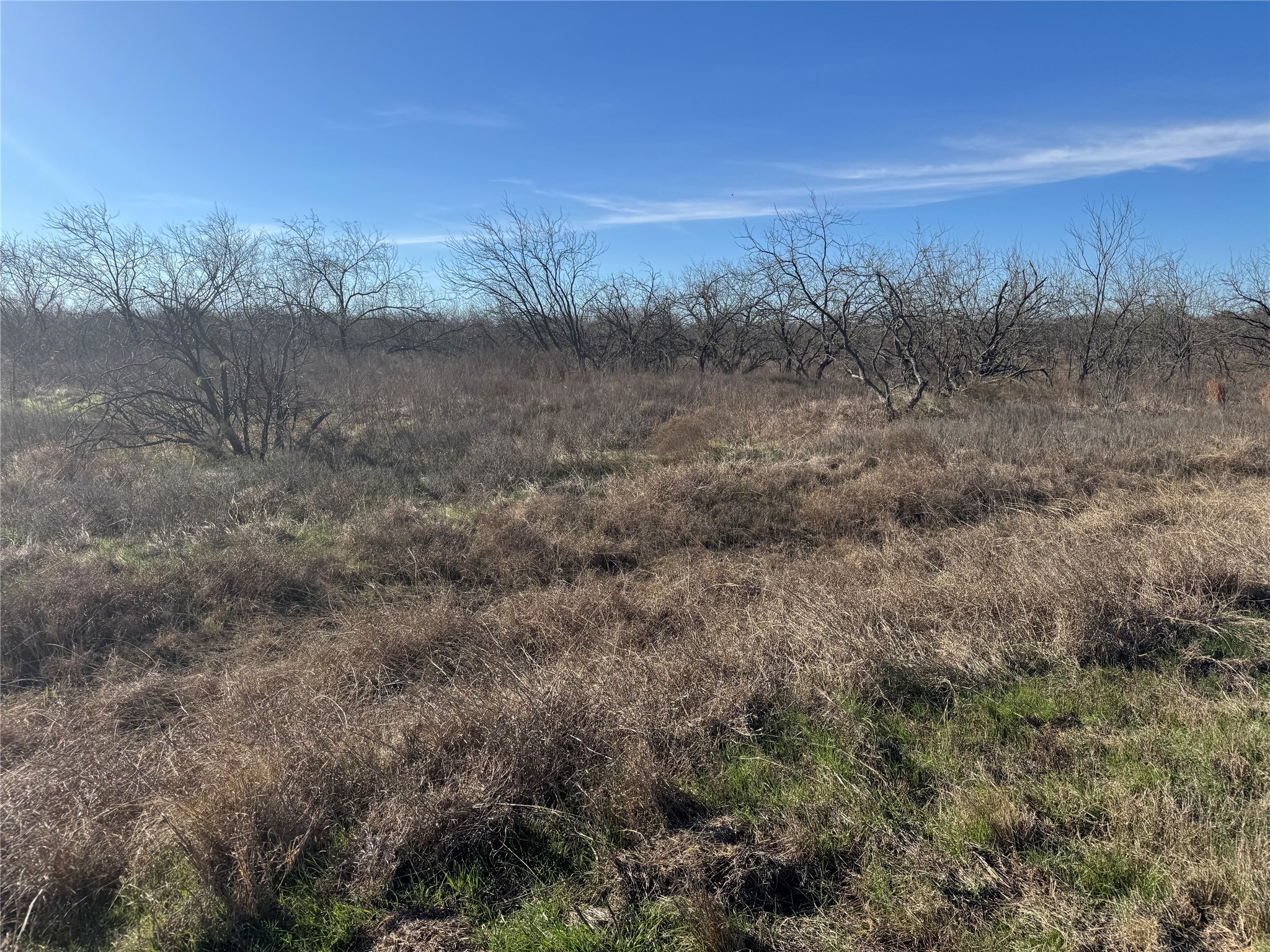 2.29ACRES Boren Private Road Wortham TX 76693